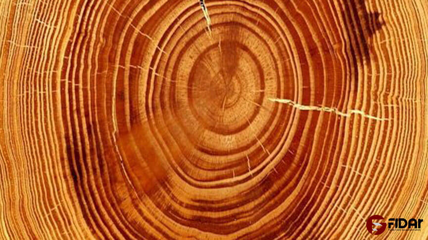 چوب گیلاس